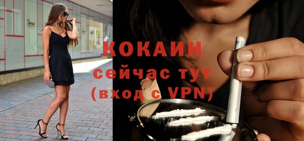 твердый Лиски