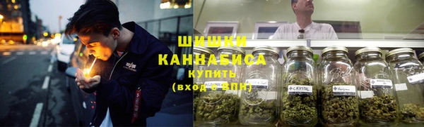 твердый Лиски