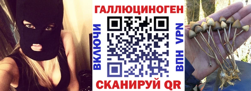 Купить закладки  Кудымкар  Псилоцибиновые грибы Psilocybe 