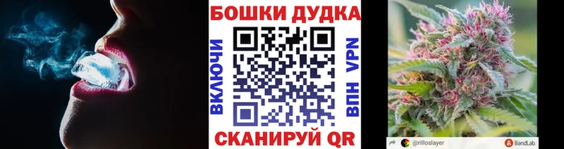 Каннабис сатива  Купить где  Кудымкар 